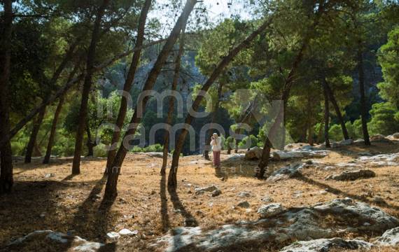 Navidades con vistas a la montaña: una oportunidad para vender una casa de campo en Alcoy, Ontinyent o Cocentaina: 3 pueblos que brillan en estas fiestas