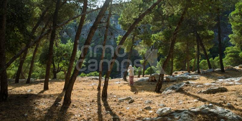 Navidades con vistas a la montaña: una oportunidad para vender una casa de campo en Alcoy, Ontinyent o Cocentaina: 3 pueblos que brillan en estas fiestas