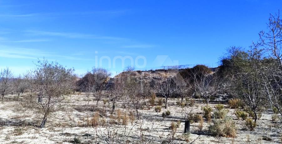 For sale - Rustic Land - Bufali