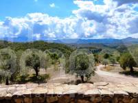 For sale - Finca - Millena