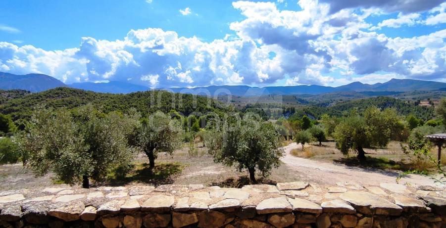 For sale - Finca - Millena