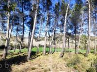 For sale - Finca - Alfafara