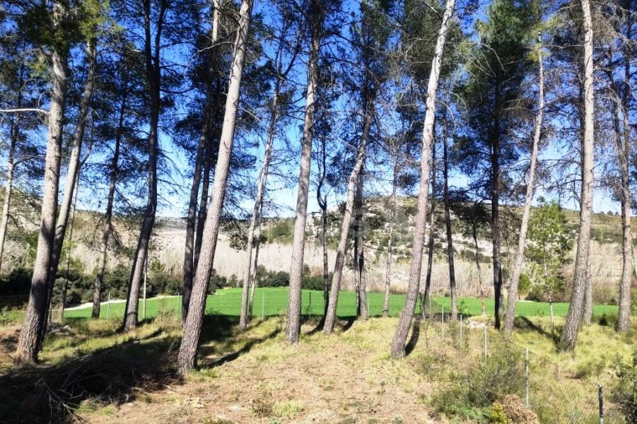 For sale - Finca - Alfafara