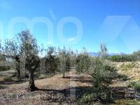 Venta - Casa de Campo - Beniarres