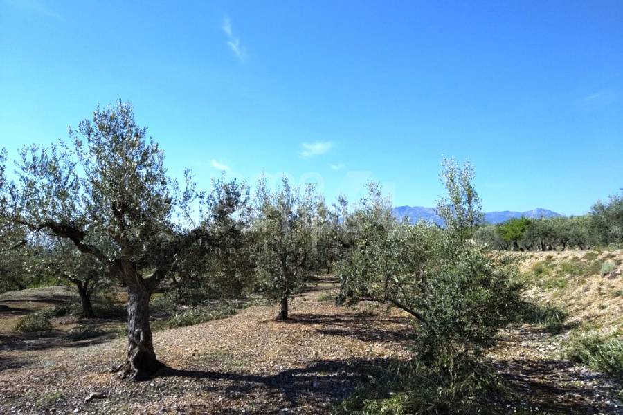 Venta - Casa de Campo - Beniarres
