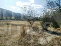 Te koop - Finca - Ontinyent
