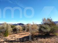 For sale - Rustic Land - Benimarfull