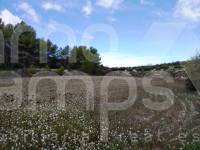 Te koop - Finca - Benilloba