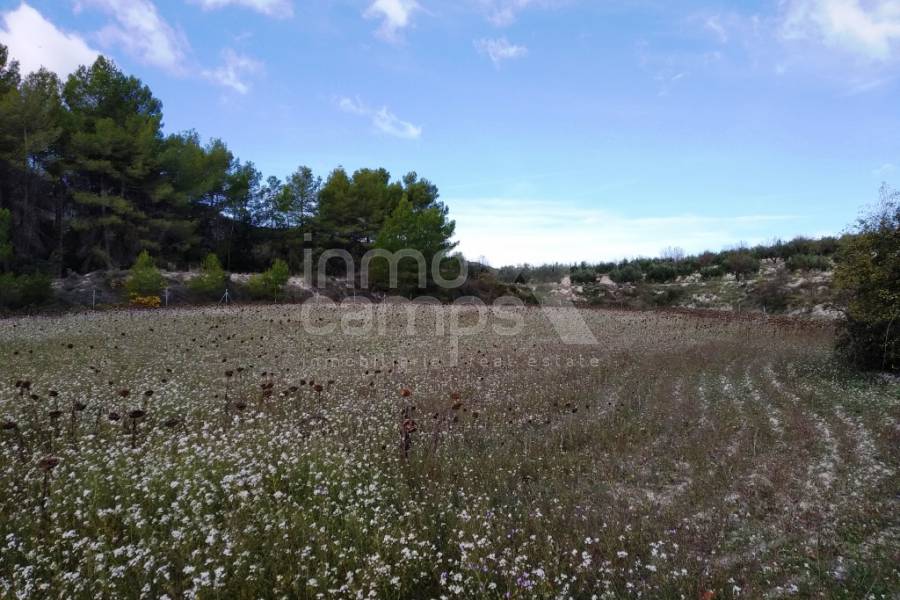 Venta - Finca - Benilloba