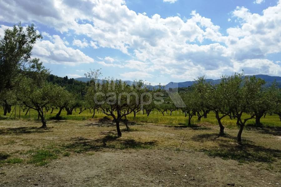 For sale - Finca - Cocentaina