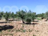 For sale - Finca - Bocairent