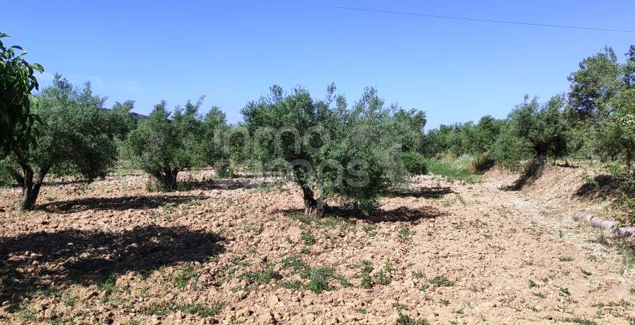 For sale - Finca - Bocairent