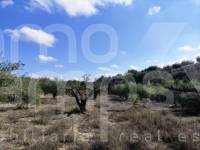 Venta - Casa de Campo - Albaida