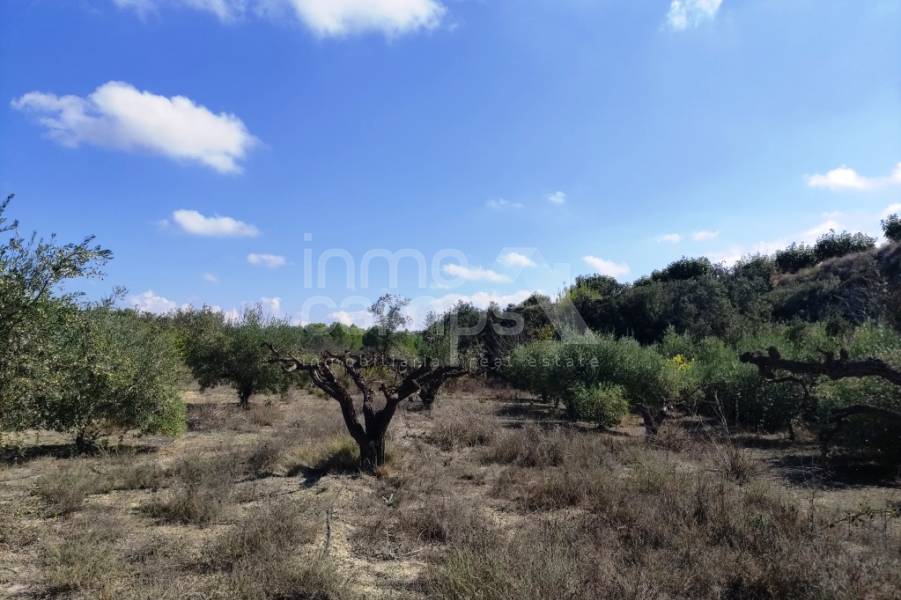 Venta - Casa de Campo - Albaida