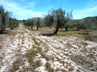 Venta - Casa de Campo - Penáguila