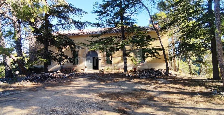 Te koop - Finca - Alcoy