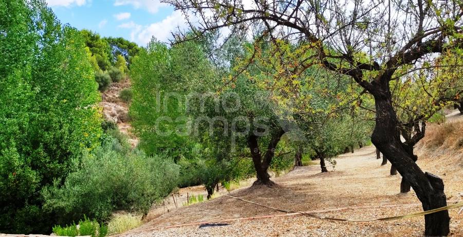 Venta - Casa de Campo - Cocentaina