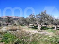 For sale - Country House - Benifallim