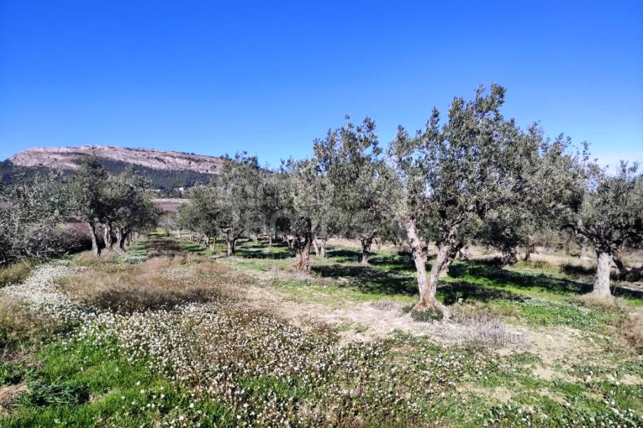 For sale - Country House - Benifallim