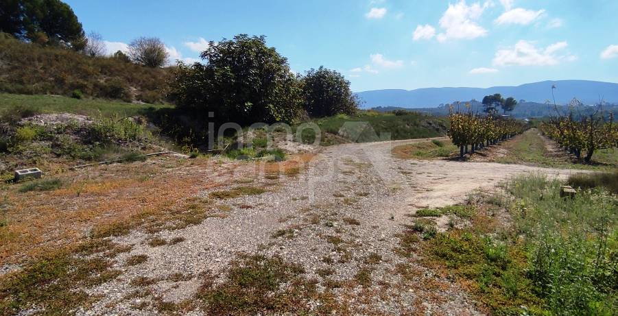 For sale - Finca - Alcocer de Planes