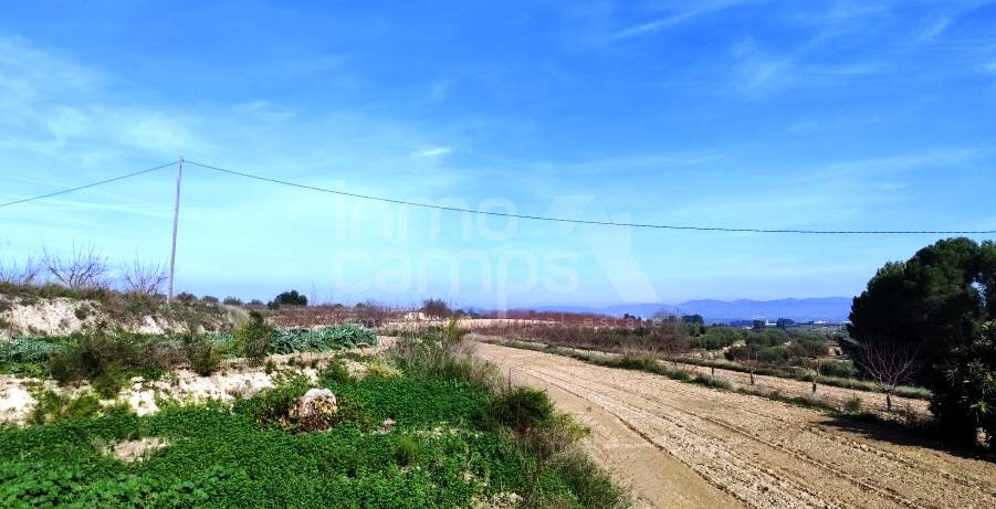 Venta - Finca - Albaida