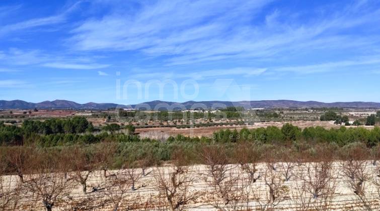 Parcela Rústica - Venta - Bufali - Bufali