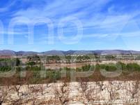 For sale - Rustic Land - Bufali