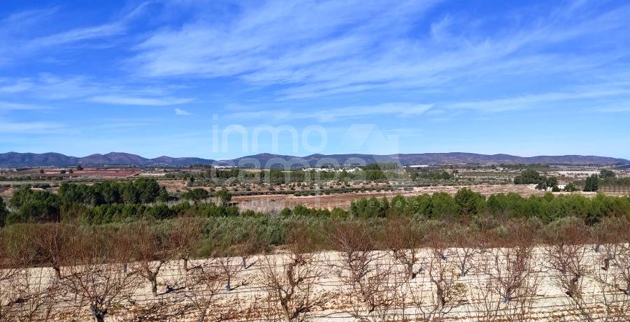 For sale - Rustic Land - Bufali