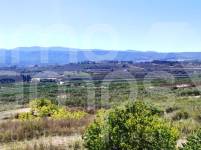 Te koop - Finca - Albaida