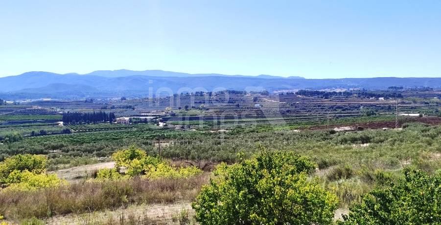 Venta - Finca - Albaida