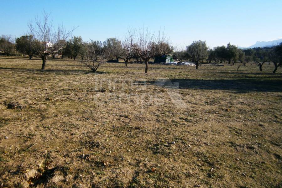 For sale - Rustic Land - Agullent