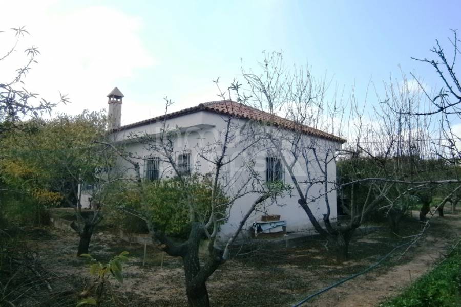 Te koop - Landhuis - Ontinyent