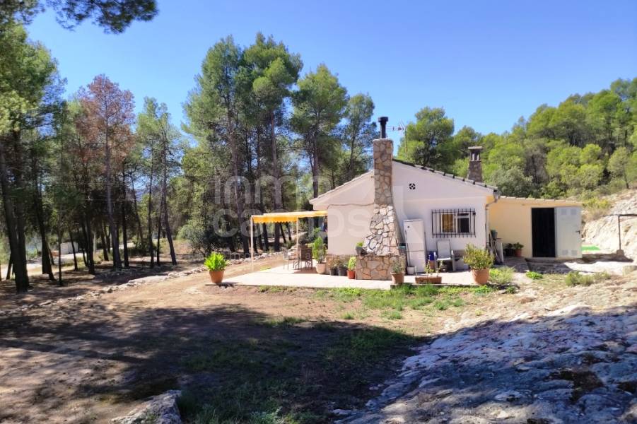 Venta - Casa de Campo - Alcoy