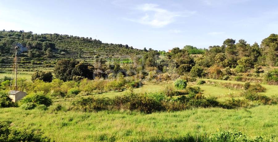 Venta - Finca - Penáguila