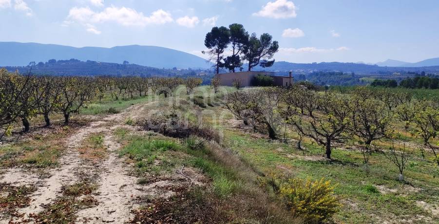 Venta - Finca - Alcocer de Planes