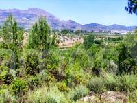 Venta - Parcela Rústica - Planes