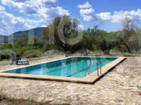 For sale - Finca - Millena