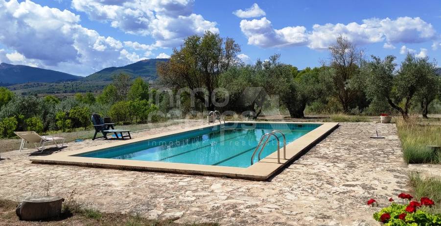 For sale - Finca - Millena