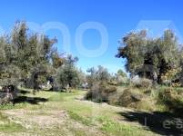 For sale - Finca - Bocairent