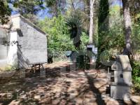 Venta - Casa de Campo - Villalonga