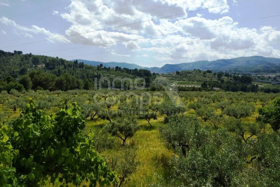 Venta - Finca - Cocentaina