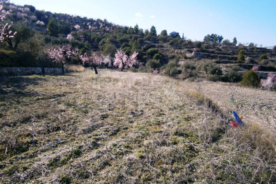 Venta - Casa de Campo - Benilloba