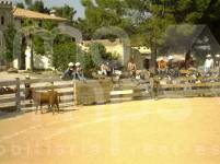 Venta - Finca - Ontinyent