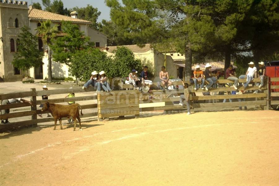 Venta - Finca - Ontinyent