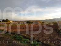 For sale - Rustic Land - Cocentaina