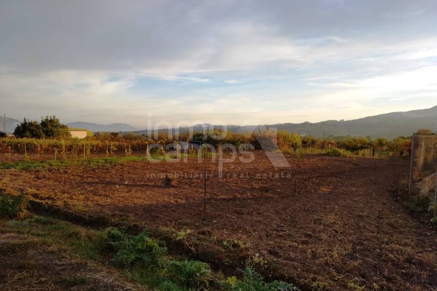 For sale - Rustic Land - Cocentaina