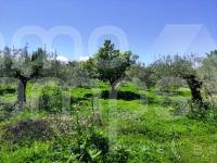 Venta - Casa de Campo - Cocentaina