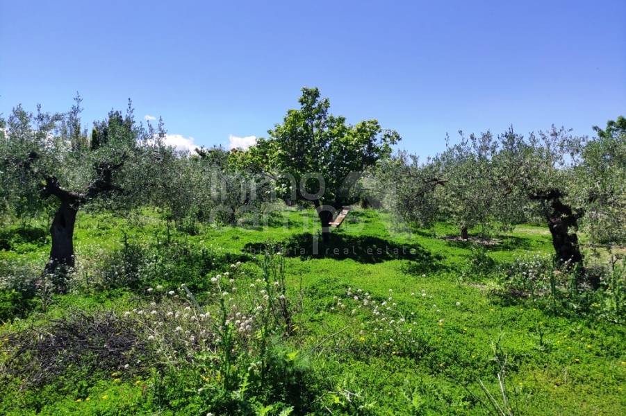 Venta - Casa de Campo - Cocentaina