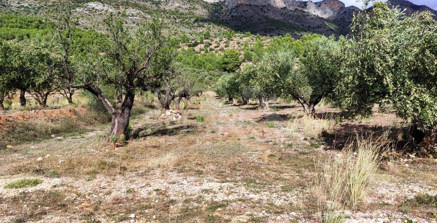 Venta - Casa de Campo - Muro de Alcoy