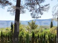 Venta - Finca - Alcoy